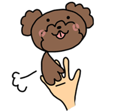 Toy poodle "Bear" sticker #4882768