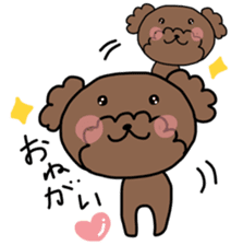 Toy poodle "Bear" sticker #4882772