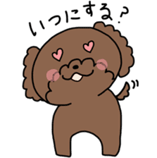 Toy poodle "Bear" sticker #4882773