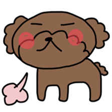 Toy poodle "Bear" sticker #4882776