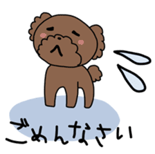Toy poodle "Bear" sticker #4882779