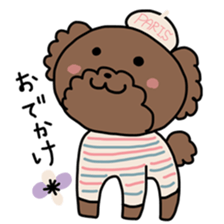Toy poodle "Bear" sticker #4882784