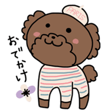 Toy poodle "Bear" sticker #4882784