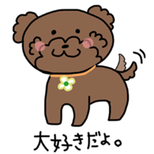 Toy poodle "Bear" sticker #4882790