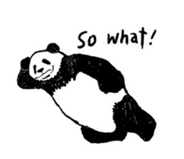 panda talk sticker #4884594