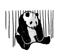 panda talk sticker #4884605