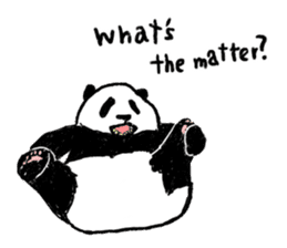 panda talk sticker #4884614