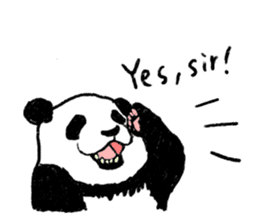 panda talk sticker #4884620