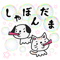 Soap bubbles and a dog and cat.