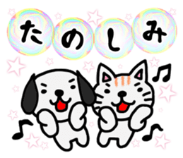 Soap bubbles and a dog and cat. sticker #4889334