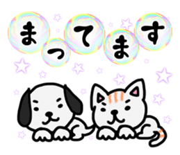 Soap bubbles and a dog and cat. sticker #4889341