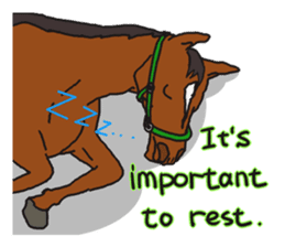 THE LUCKY NINE HORSES English Ver. sticker #4889681