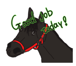 THE LUCKY NINE HORSES English Ver. sticker #4889711