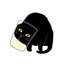 Dusky cat sticker #4889758