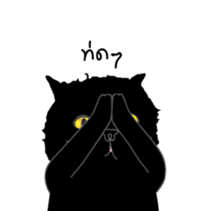 Dusky cat sticker #4889773