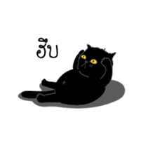 Dusky cat sticker #4889786