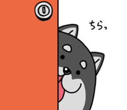 Shiba ball sticker #4891682