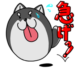 Shiba ball sticker #4891692