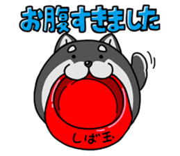 Shiba ball sticker #4891695