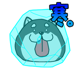 Shiba ball sticker #4891704