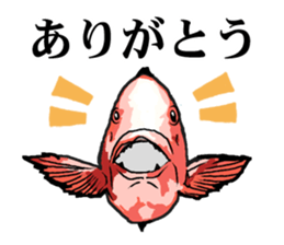 Red sea-bream sticker #4892672