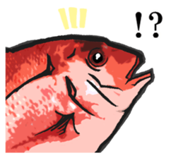 Red sea-bream sticker #4892678