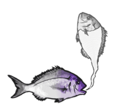 Red sea-bream sticker #4892679