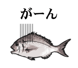Red sea-bream sticker #4892680