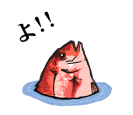 Red sea-bream sticker #4892686