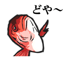 Red sea-bream sticker #4892689