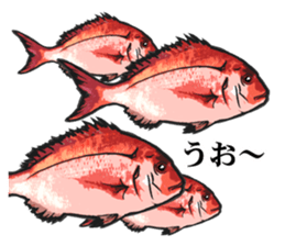 Red sea-bream sticker #4892698