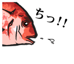 Red sea-bream sticker #4892700