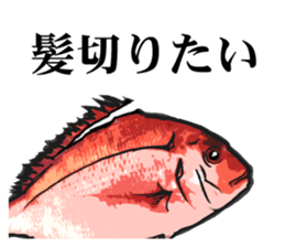 Red sea-bream sticker #4892702