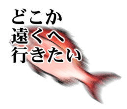 Red sea-bream sticker #4892703