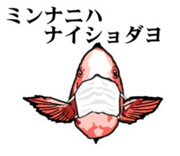 Red sea-bream sticker #4892711