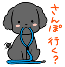Black toy poodle "Konbu" sticker #4898656