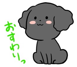 Black toy poodle "Konbu" sticker #4898659