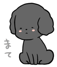Black toy poodle "Konbu" sticker #4898660