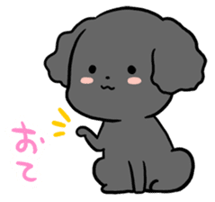 Black toy poodle "Konbu" sticker #4898661