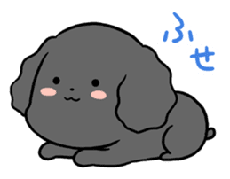 Black toy poodle "Konbu" sticker #4898662