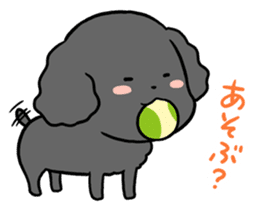 Black toy poodle "Konbu" sticker #4898663