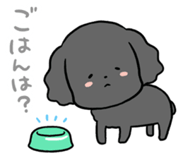 Black toy poodle "Konbu" sticker #4898665