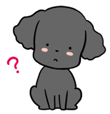 Black toy poodle "Konbu" sticker #4898668