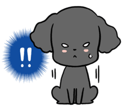 Black toy poodle "Konbu" sticker #4898670