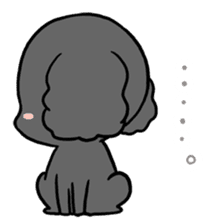 Black toy poodle "Konbu" sticker #4898671