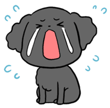 Black toy poodle "Konbu" sticker #4898682