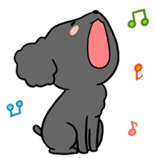 Black toy poodle "Konbu" sticker #4898683