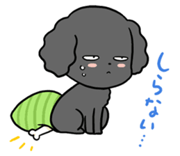 Black toy poodle "Konbu" sticker #4898685