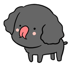 Black toy poodle "Konbu" sticker #4898686