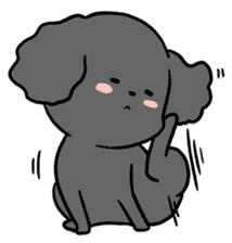 Black toy poodle "Konbu" sticker #4898687